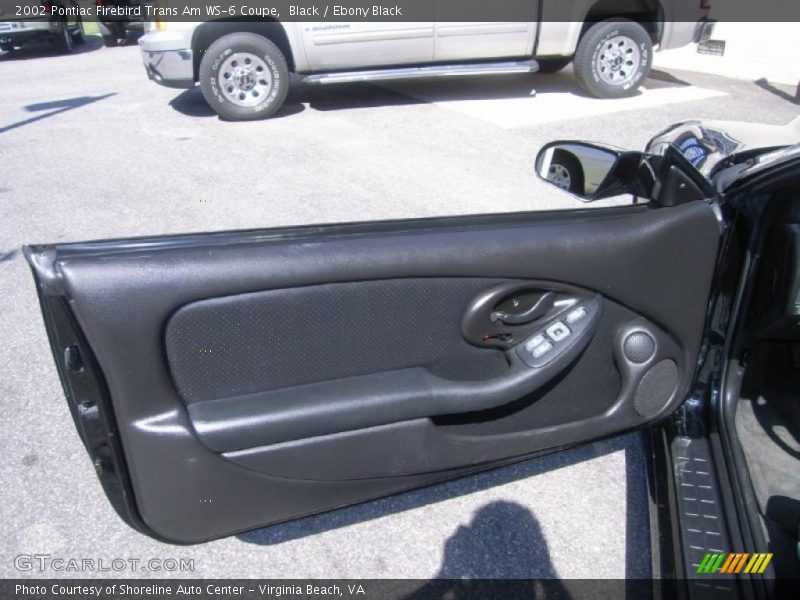 Door Panel of 2002 Firebird Trans Am WS-6 Coupe