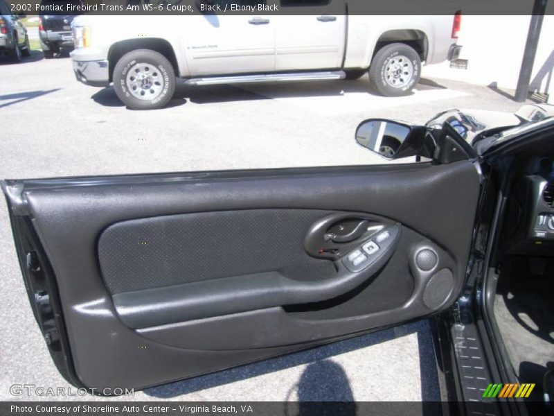 Door Panel of 2002 Firebird Trans Am WS-6 Coupe