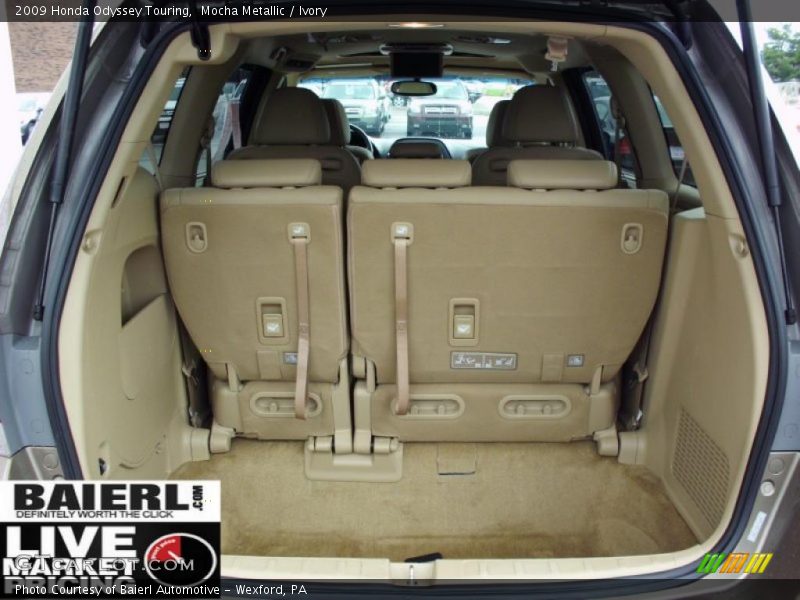 Mocha Metallic / Ivory 2009 Honda Odyssey Touring