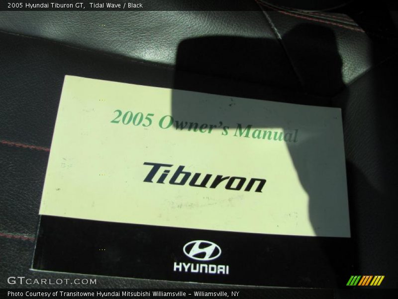Tidal Wave / Black 2005 Hyundai Tiburon GT