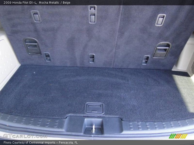 Mocha Metallic / Beige 2009 Honda Pilot EX-L