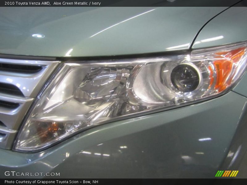 Aloe Green Metallic / Ivory 2010 Toyota Venza AWD