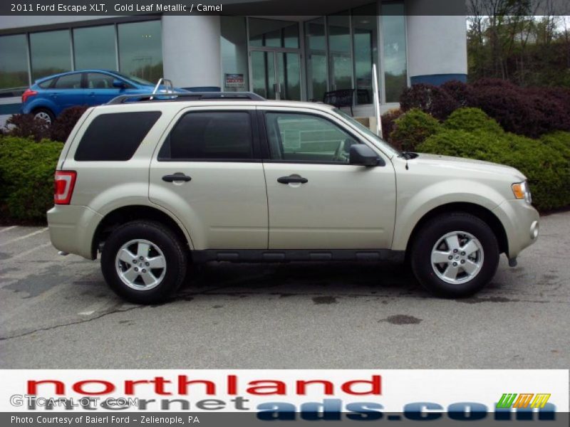 Gold Leaf Metallic / Camel 2011 Ford Escape XLT