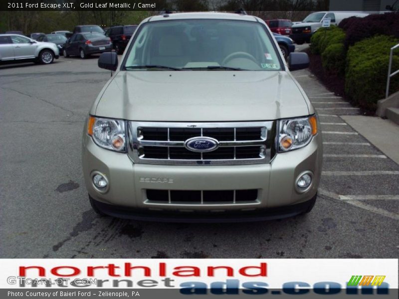 Gold Leaf Metallic / Camel 2011 Ford Escape XLT