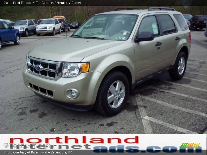 Gold Leaf Metallic / Camel 2011 Ford Escape XLT