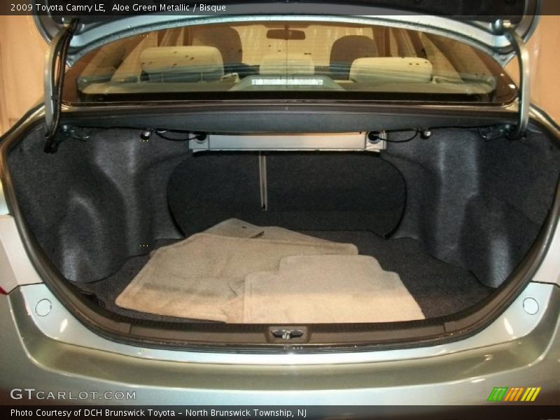 Aloe Green Metallic / Bisque 2009 Toyota Camry LE
