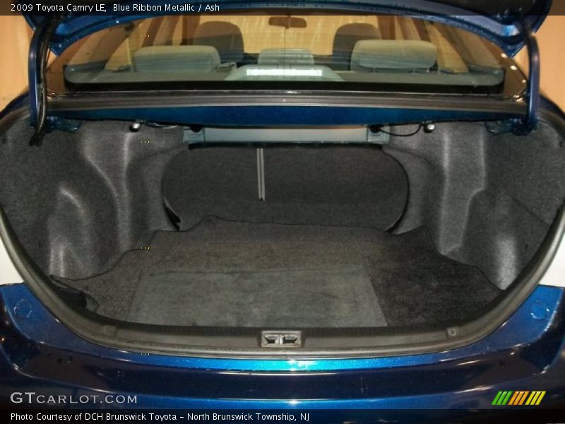 Blue Ribbon Metallic / Ash 2009 Toyota Camry LE