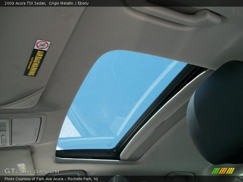 Grigio Metallic / Ebony 2009 Acura TSX Sedan