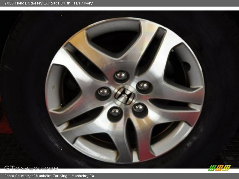 Sage Brush Pearl / Ivory 2005 Honda Odyssey EX