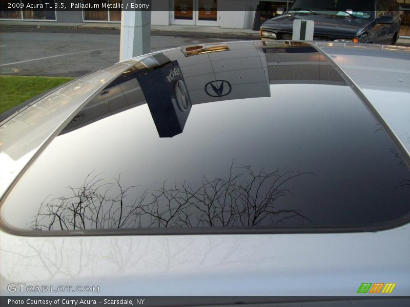 Palladium Metallic / Ebony 2009 Acura TL 3.5