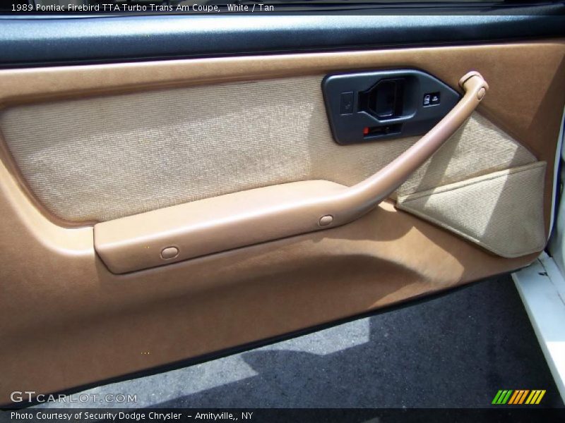Door Panel of 1989 Firebird TTA Turbo Trans Am Coupe