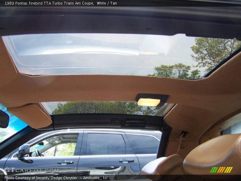 Sunroof of 1989 Firebird TTA Turbo Trans Am Coupe