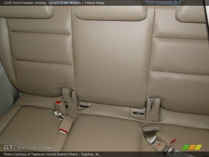 Spruce Green Metallic / Pebble Beige 2005 Ford Freestar Limited