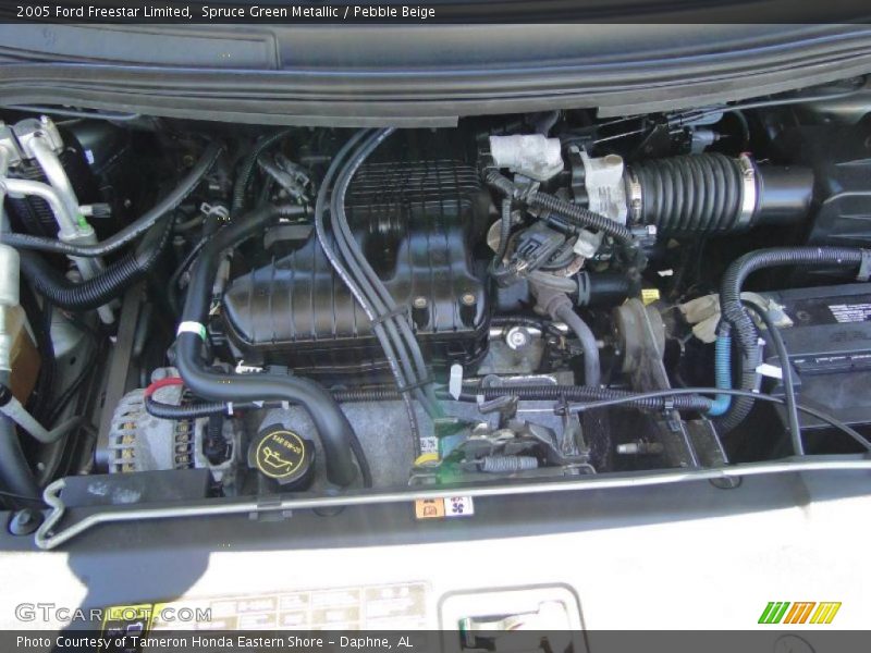 Spruce Green Metallic / Pebble Beige 2005 Ford Freestar Limited