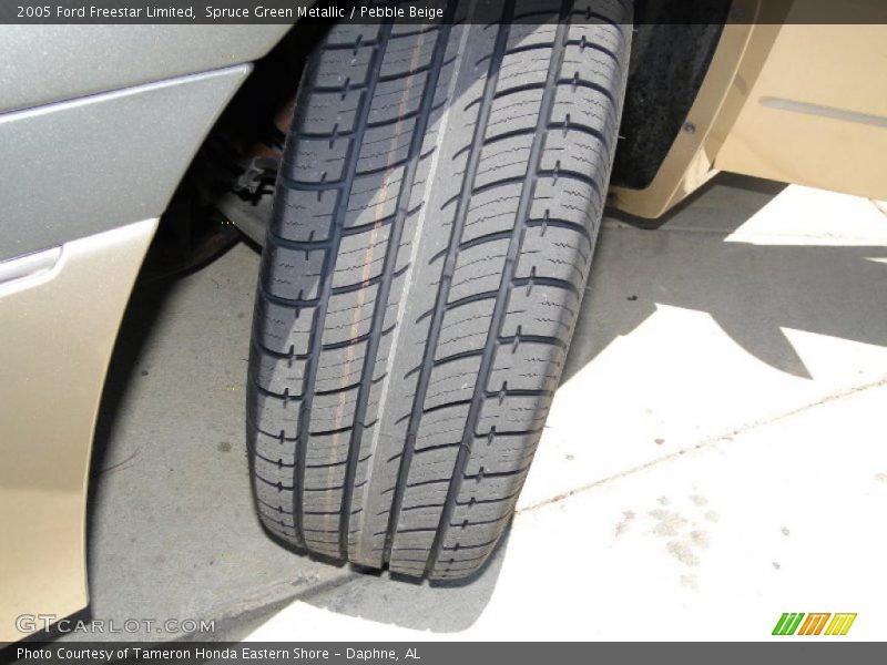 Spruce Green Metallic / Pebble Beige 2005 Ford Freestar Limited