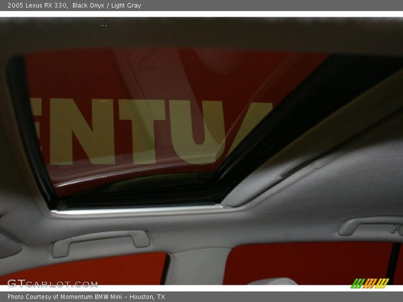 Black Onyx / Light Gray 2005 Lexus RX 330