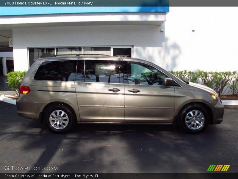 Mocha Metallic / Ivory 2008 Honda Odyssey EX-L