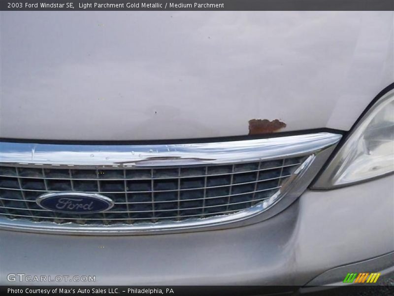 Light Parchment Gold Metallic / Medium Parchment 2003 Ford Windstar SE