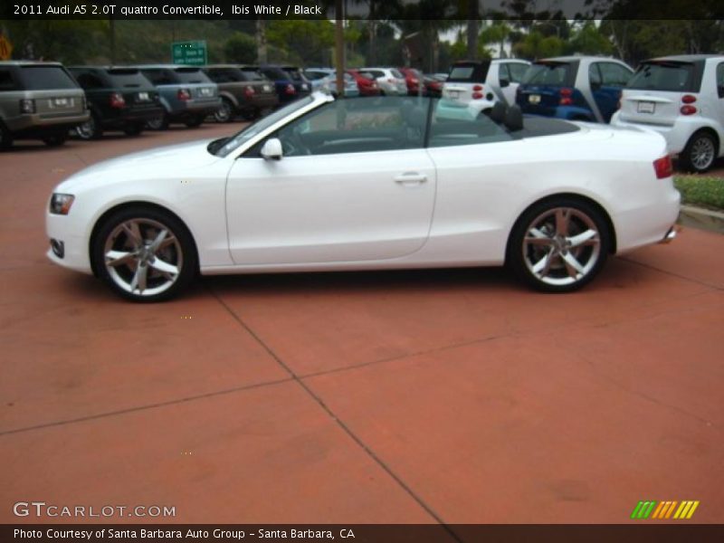 Ibis White / Black 2011 Audi A5 2.0T quattro Convertible