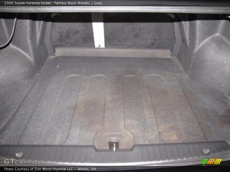 Fantasy Black Metallic / Grey 2006 Suzuki Forenza Sedan
