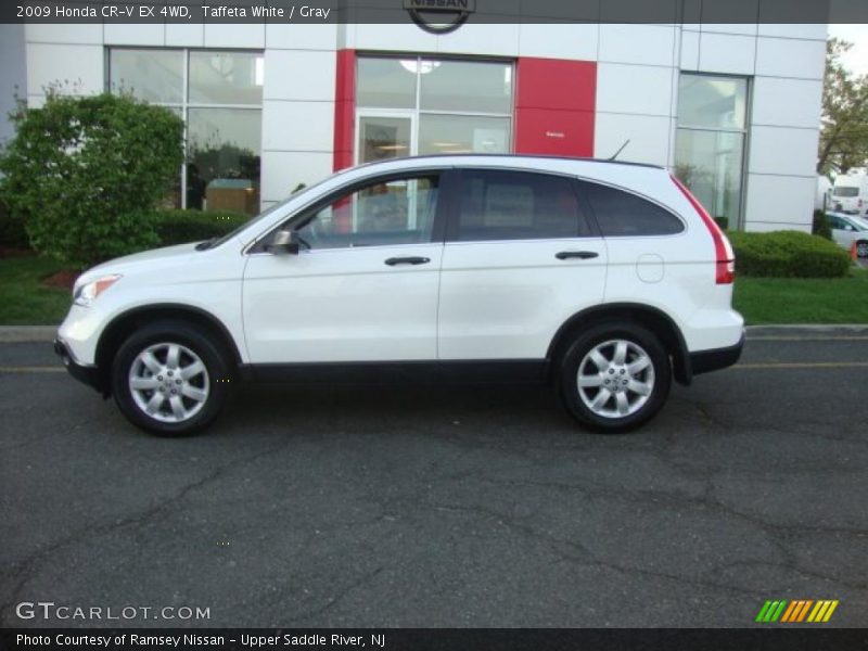 Taffeta White / Gray 2009 Honda CR-V EX 4WD