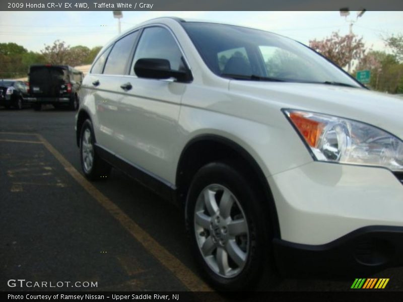 Taffeta White / Gray 2009 Honda CR-V EX 4WD