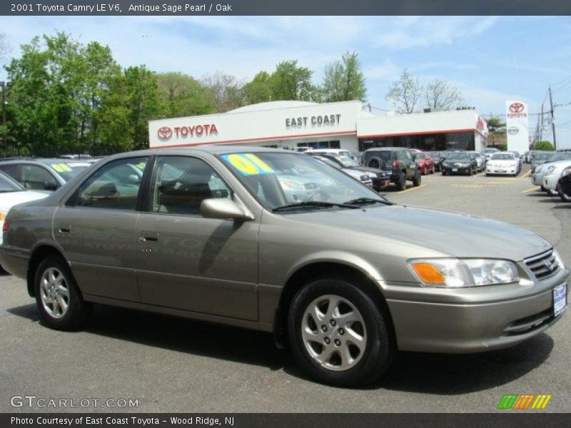 Antique Sage Pearl / Oak 2001 Toyota Camry LE V6