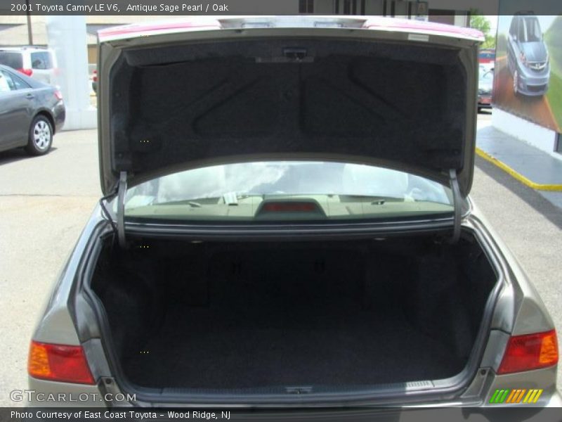 Antique Sage Pearl / Oak 2001 Toyota Camry LE V6