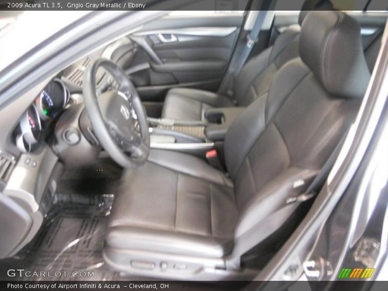 Grigio Gray Metallic / Ebony 2009 Acura TL 3.5