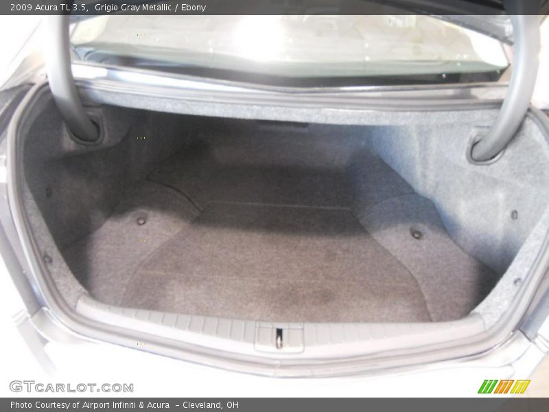 Grigio Gray Metallic / Ebony 2009 Acura TL 3.5