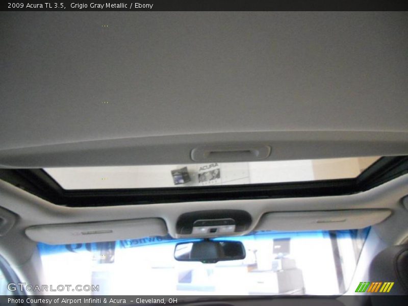 Grigio Gray Metallic / Ebony 2009 Acura TL 3.5