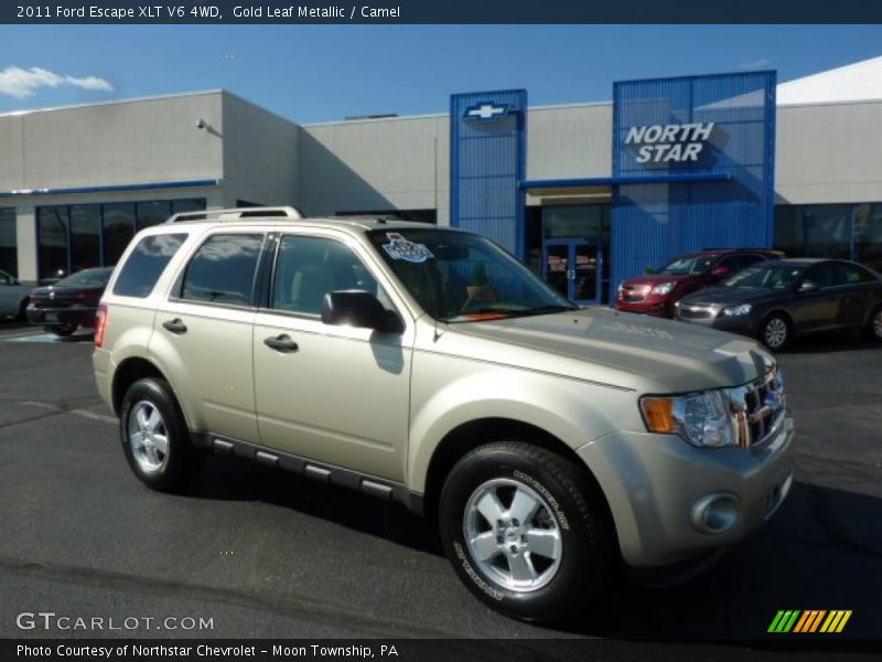 Gold Leaf Metallic / Camel 2011 Ford Escape XLT V6 4WD