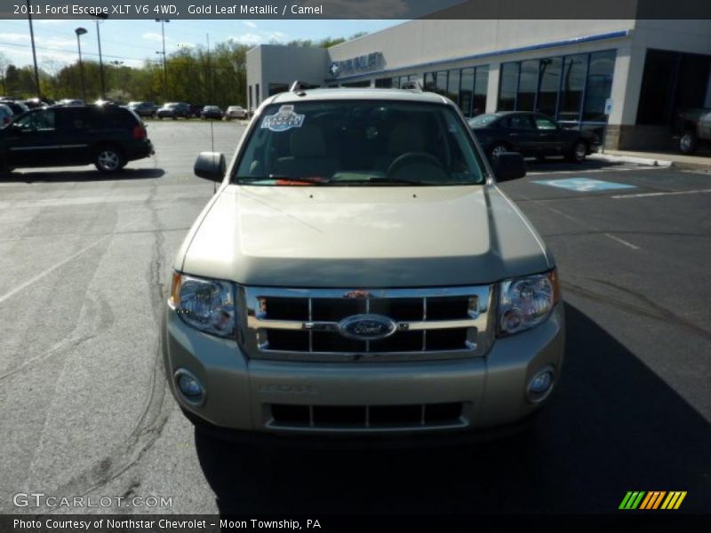 Gold Leaf Metallic / Camel 2011 Ford Escape XLT V6 4WD