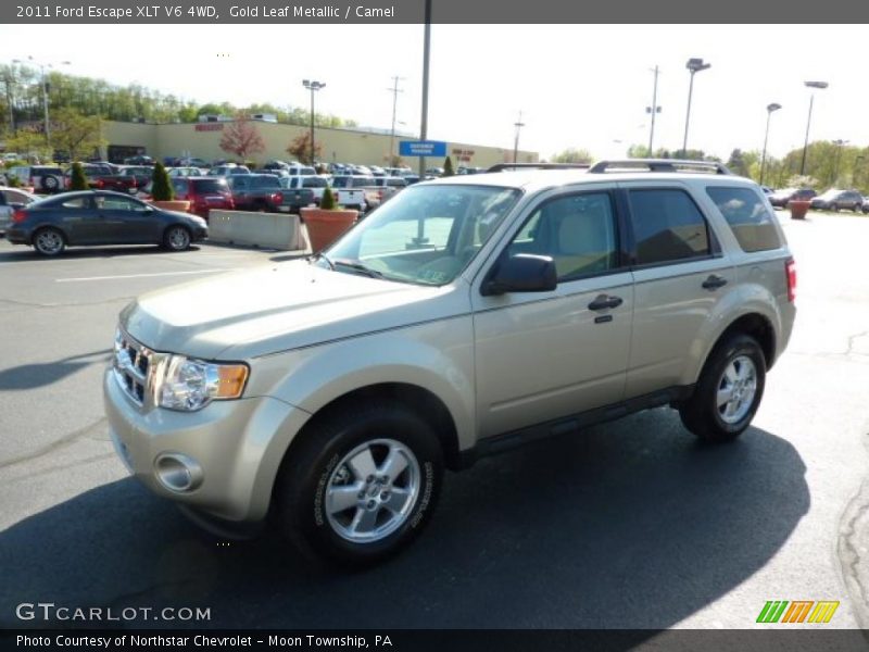 Gold Leaf Metallic / Camel 2011 Ford Escape XLT V6 4WD