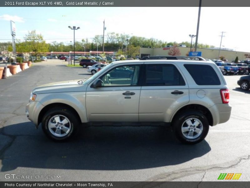 Gold Leaf Metallic / Camel 2011 Ford Escape XLT V6 4WD