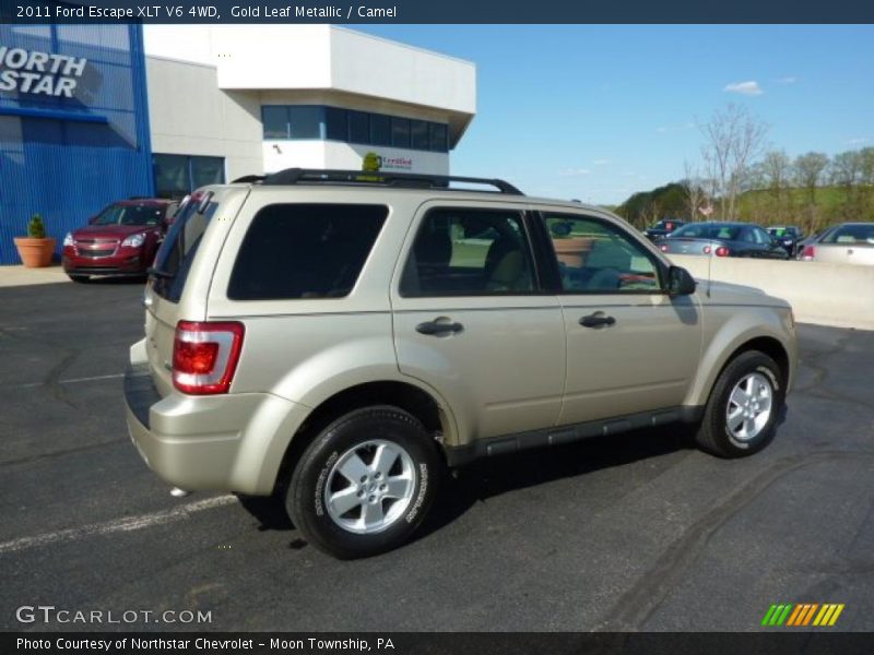 Gold Leaf Metallic / Camel 2011 Ford Escape XLT V6 4WD