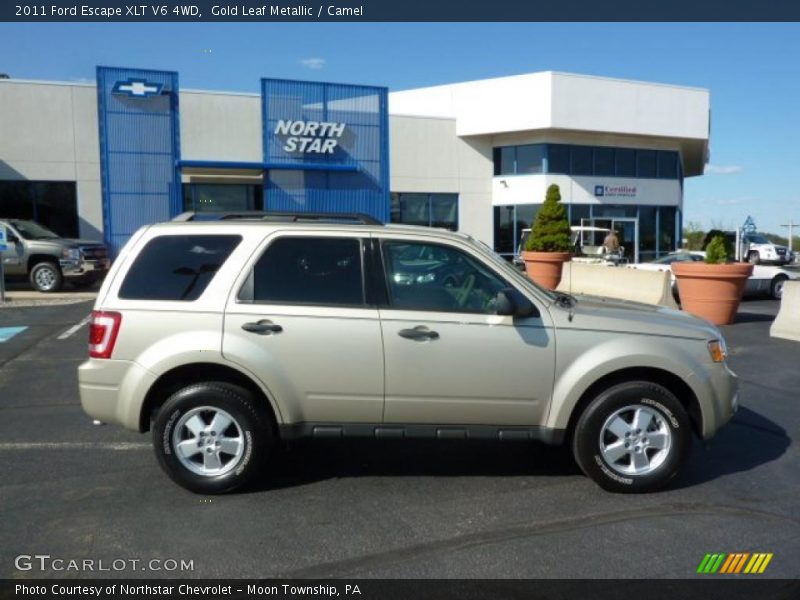 Gold Leaf Metallic / Camel 2011 Ford Escape XLT V6 4WD