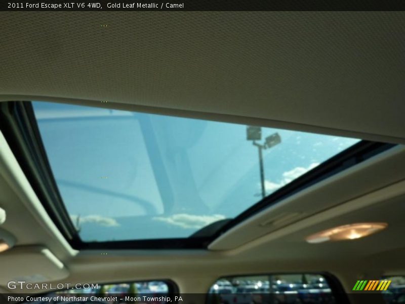 Gold Leaf Metallic / Camel 2011 Ford Escape XLT V6 4WD