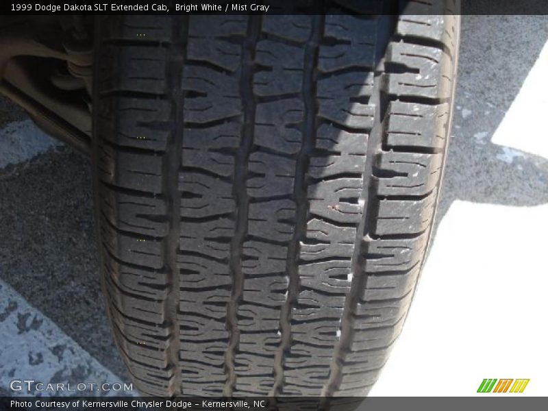 Bright White / Mist Gray 1999 Dodge Dakota SLT Extended Cab