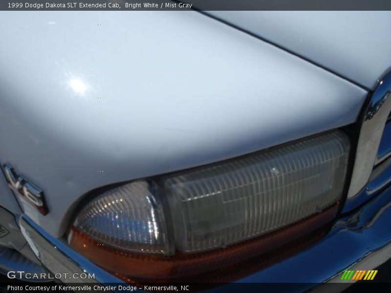 Bright White / Mist Gray 1999 Dodge Dakota SLT Extended Cab