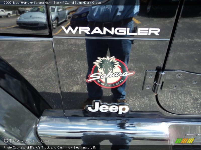  2002 Wrangler Sahara 4x4 Logo