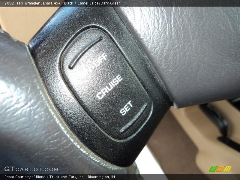 Black / Camel Beige/Dark Green 2002 Jeep Wrangler Sahara 4x4
