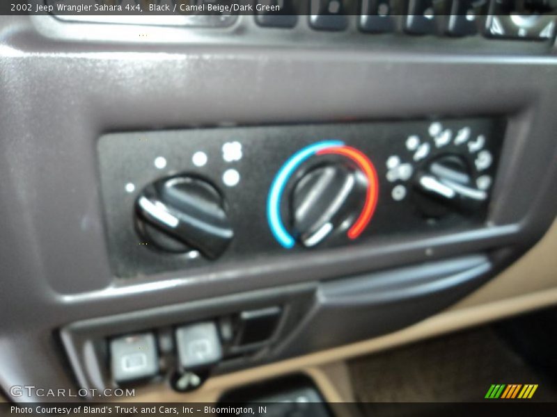 Black / Camel Beige/Dark Green 2002 Jeep Wrangler Sahara 4x4