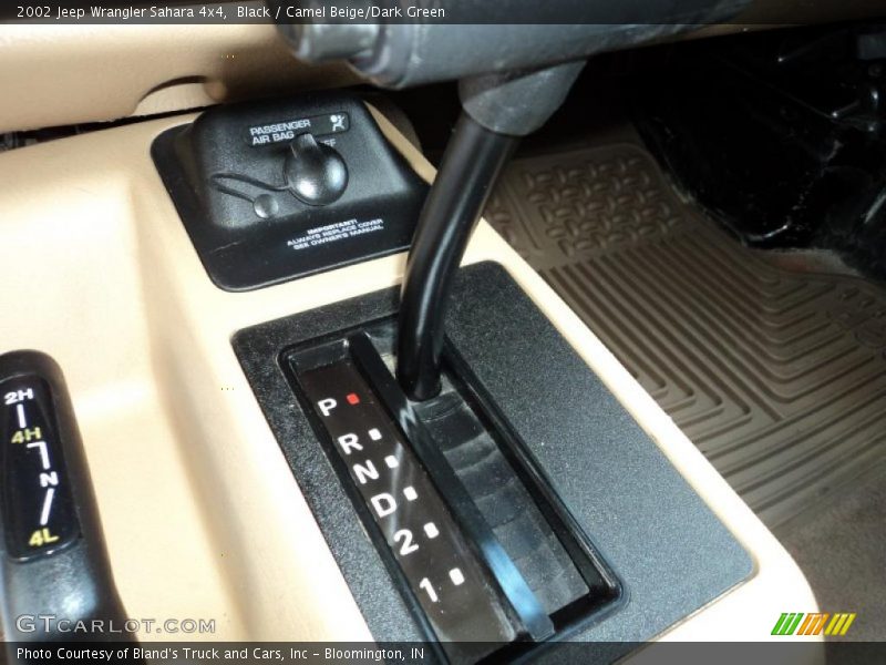 Black / Camel Beige/Dark Green 2002 Jeep Wrangler Sahara 4x4