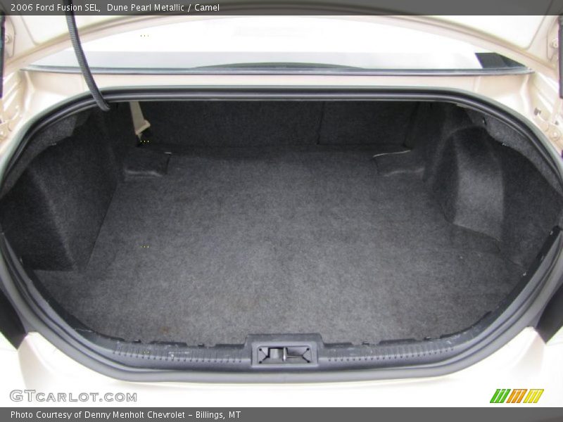 Dune Pearl Metallic / Camel 2006 Ford Fusion SEL