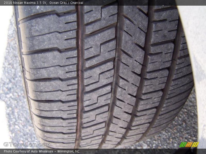 Ocean Gray / Charcoal 2010 Nissan Maxima 3.5 SV