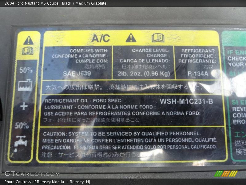 Black / Medium Graphite 2004 Ford Mustang V6 Coupe