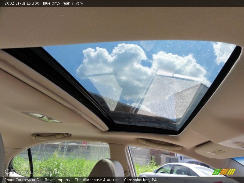 Blue Onyx Pearl / Ivory 2002 Lexus ES 300