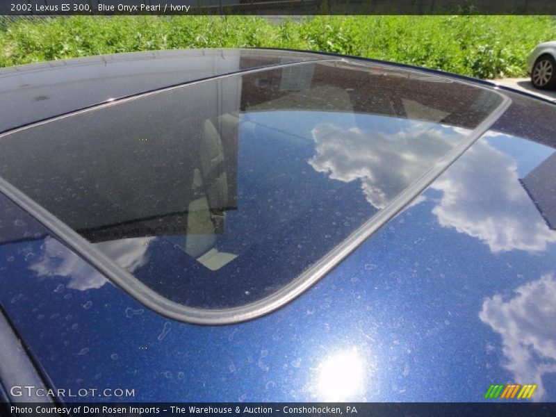 Blue Onyx Pearl / Ivory 2002 Lexus ES 300