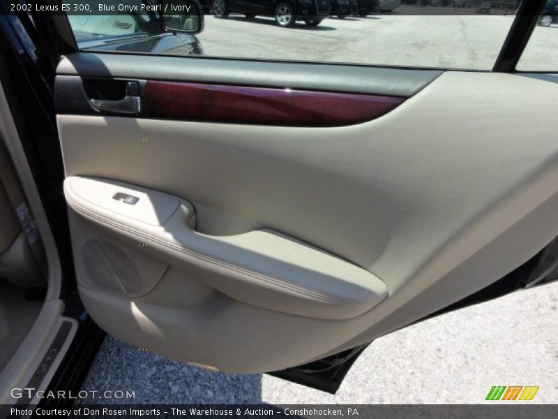 Blue Onyx Pearl / Ivory 2002 Lexus ES 300